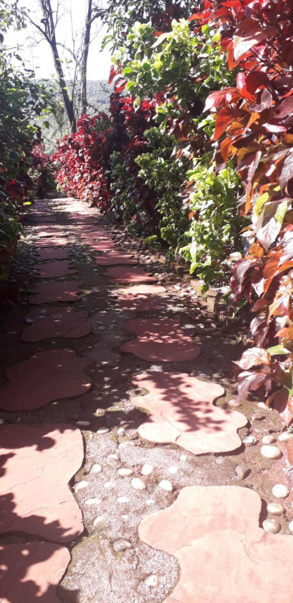 Vila Strawberry Country Mahābaleshwar Pokoj fotografie